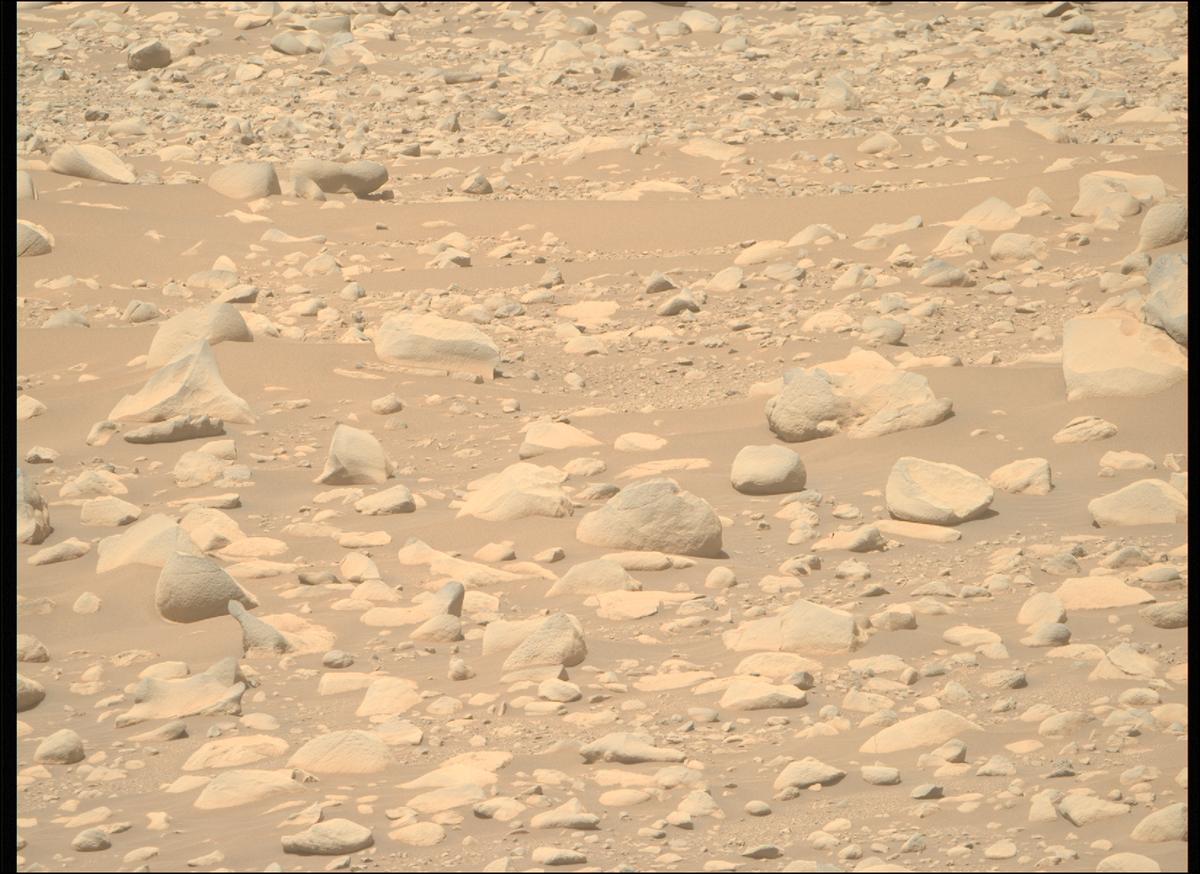 #PerseveranceRover image taken on #Sol873 at 12:41:01.007 PM with #MastcamZ #Mars #NASA #Space