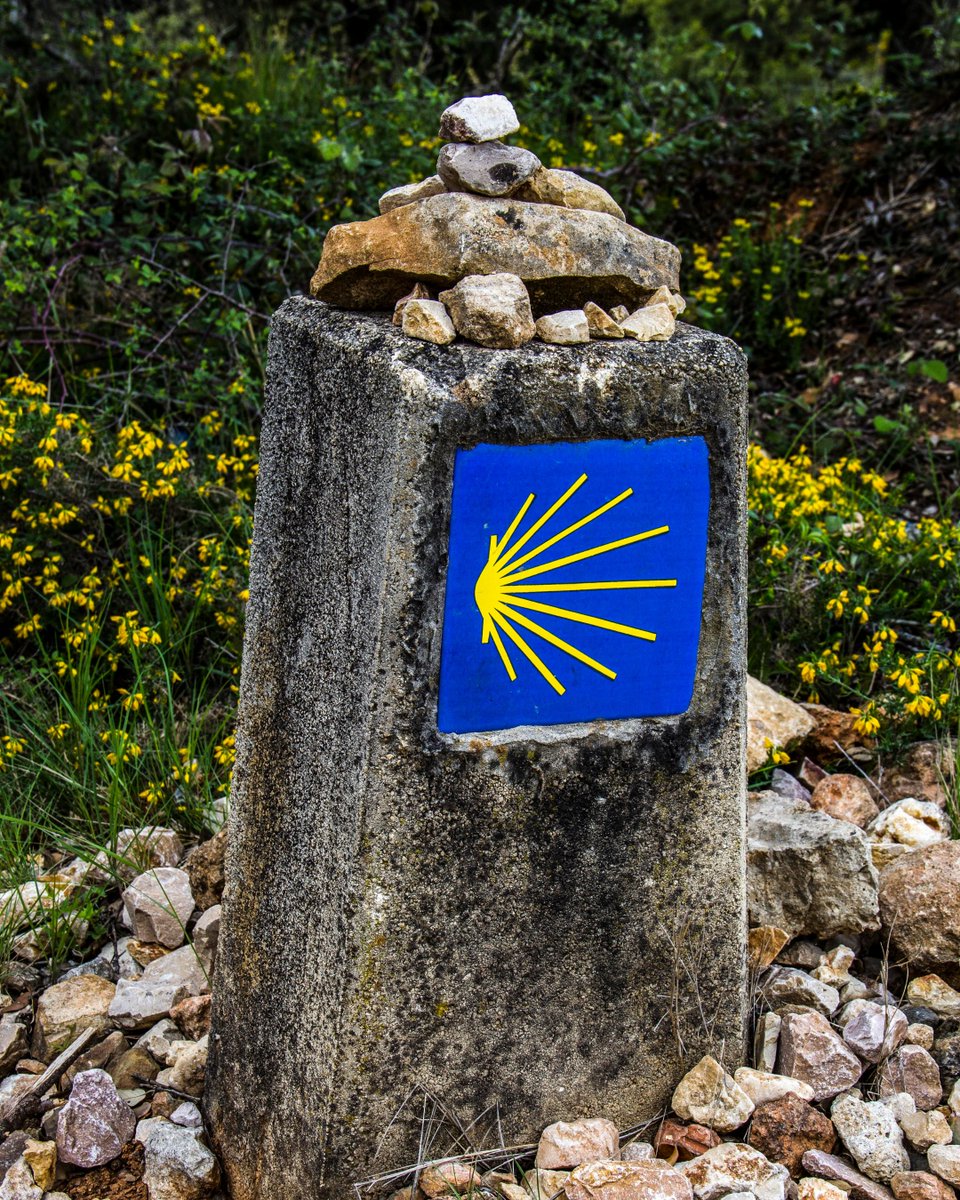 For those interested in the Camino de Santiago — 

The most famous pilgrimage in all of Europe.

A look into the journey with my favorite picture from each day:

(a 🧵)