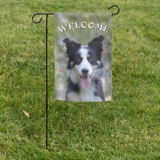 Border Collie Garden Flag zazzle.com/z/4k8bnfnk?rf=… via @zazzle