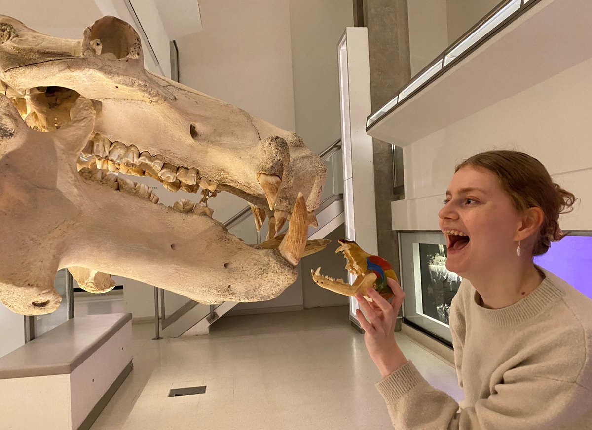 Museum of Zoology, Cambridge tweet media