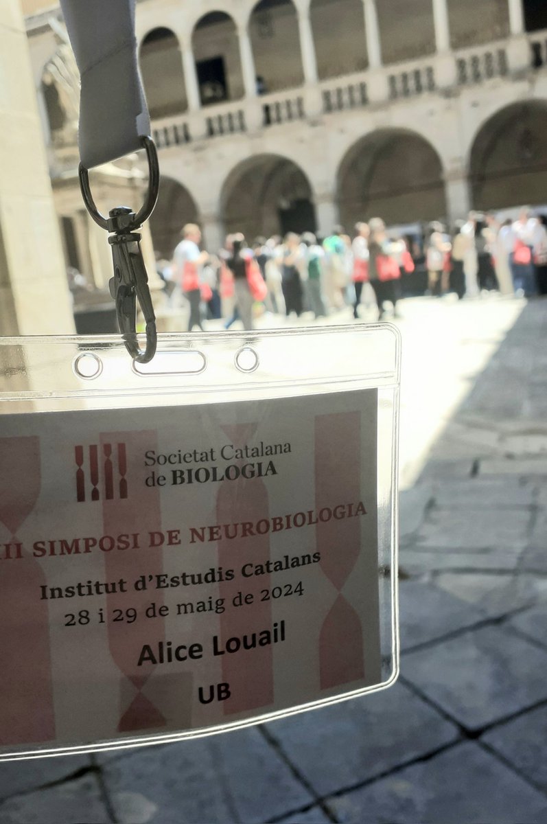 Alice Louail tweet media