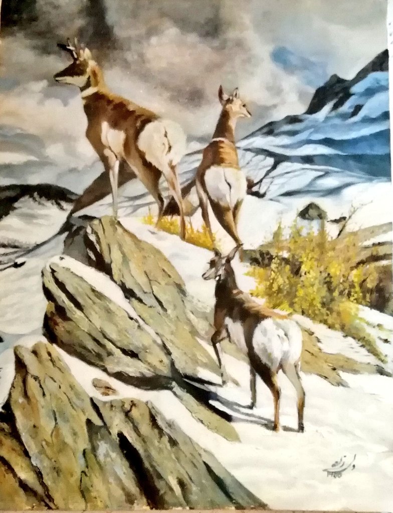 🍀 🦌🍀 Deer family🍀🦌🍀

🔸️1/1 
🔸️Price : 1.49 #sol  
🔸️On @exchgART 

🔸️Link🔗: exchange.art/single/9KpjKbh…

#nft_shill #exchanngart #Deerfamily #solananft #solanacommunity
#nftart #solananft #physicalart