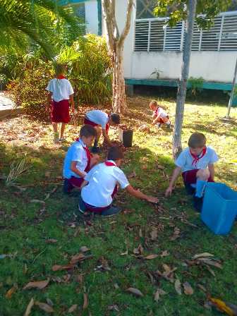 OctavioPrimaria's tweet photo. Los alumnos de 4to grado reparan y limpian el área metodológica @YosbellLima  @CarloscOlmo @dmesantaclaravc @liemodpe
 @FarinaEstevez @LienMons @Yamilet50088609
 @YandryViera @SaerySerrano @DiazCanelB
 @elsa_ena @DiazCanelB @CubaMined https://t.co/Ia6yPiPi5F