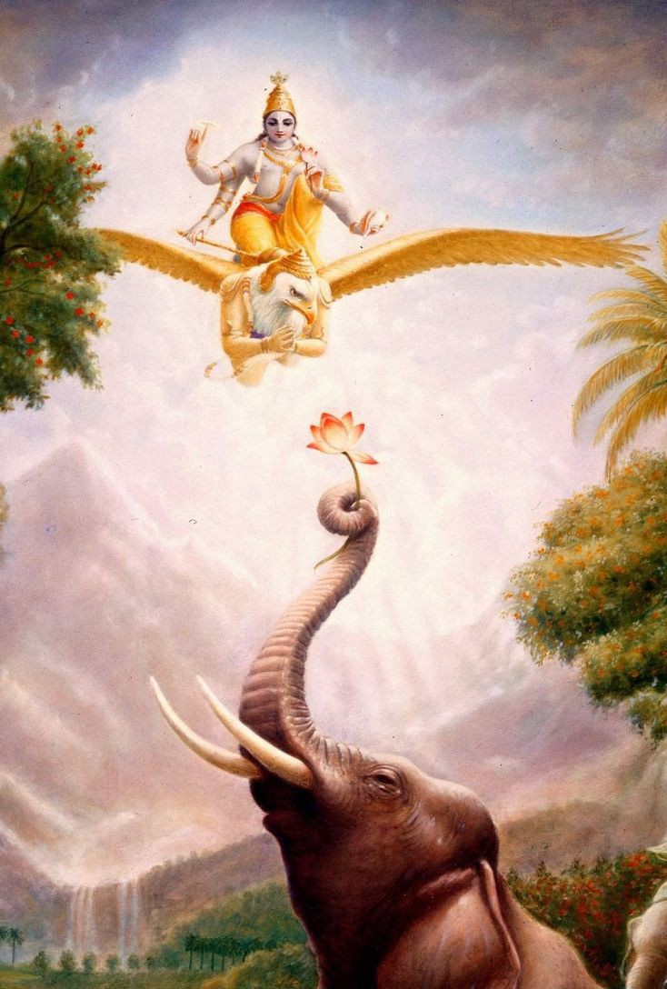 I do not desire to survive for what I have to do here, As an elephant enveloped inside out , by ignorance, I do desire that this veil of ignorance is lifted, And I get salvation from this world as an elephant. —Gajendra Moksha Stotram