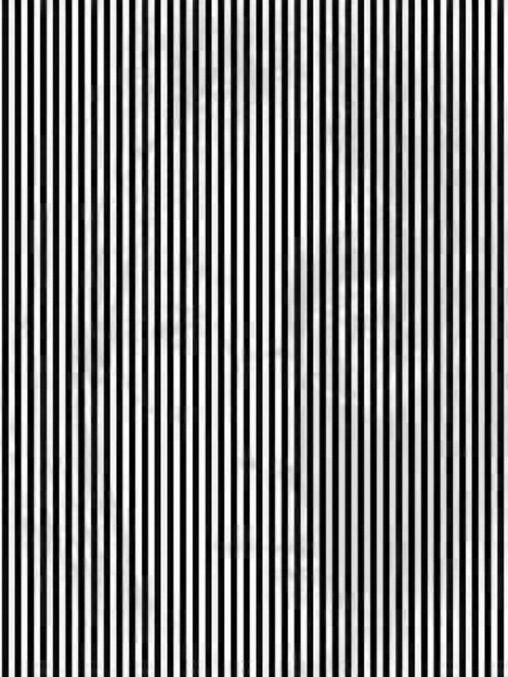 dokuneee's tweet image. 10秒以内に「何か」が見えた人はRT  
100人に1人しか見えないらしい