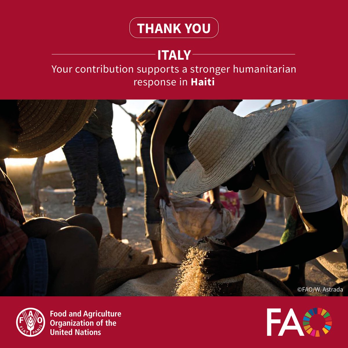 Thanks to Italy’s contribution of €4 million, @FAO will scale up its emergency response to the humanitarian crisis in Haiti. We look forward to continuing our longstanding partnership within the framework of the Italy-FAO Emergency Trust Fund & beyond. bit.ly/4bvnHJ4