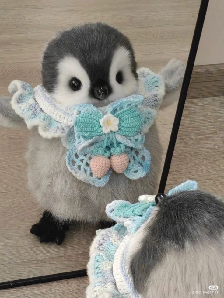 twaniimals's tweet photo. https://t.co/Ci524Wlww4
