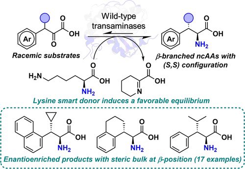 Transaminase-Catalyzed Synthesis of β-Branched Noncanonical Amino Acids Driven by a Lysine Amine Donor @J_A_C_S #Chemistry #Chemed #Science #TechnologyNews #news #technology #AcademicTwitter #ResearchPapers pubs.acs.org/doi/10.1021/ja…