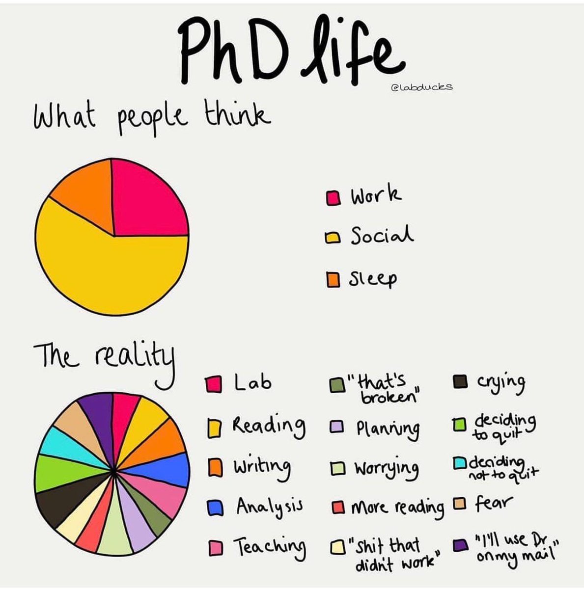 PhD Life #PhD #PhDlife #academics #AcademicChatter #AcademicTwitter
