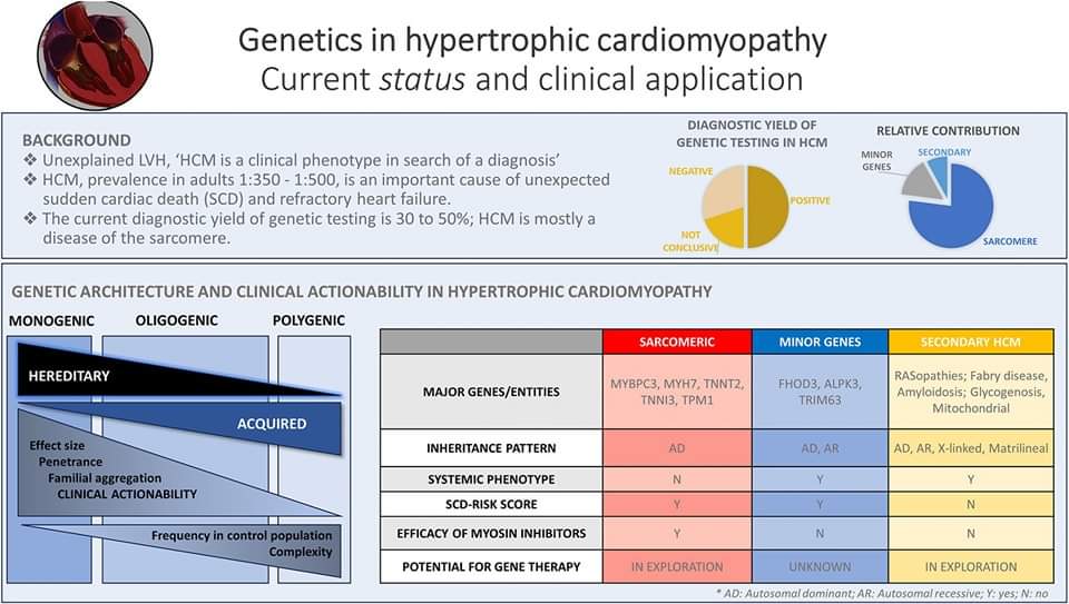 🔴 Emerging Themes in Genetics of Hypertrophic Cardiomyopathy: Current Status and Clinical Application #openaccess #2024Review 

✅onlinecjc.ca/article/S0828-…
#Cardiology  #CardioTwitter #MedEd #medical #medtwitter #cardiotwiteros #CardioEd #Cardiox