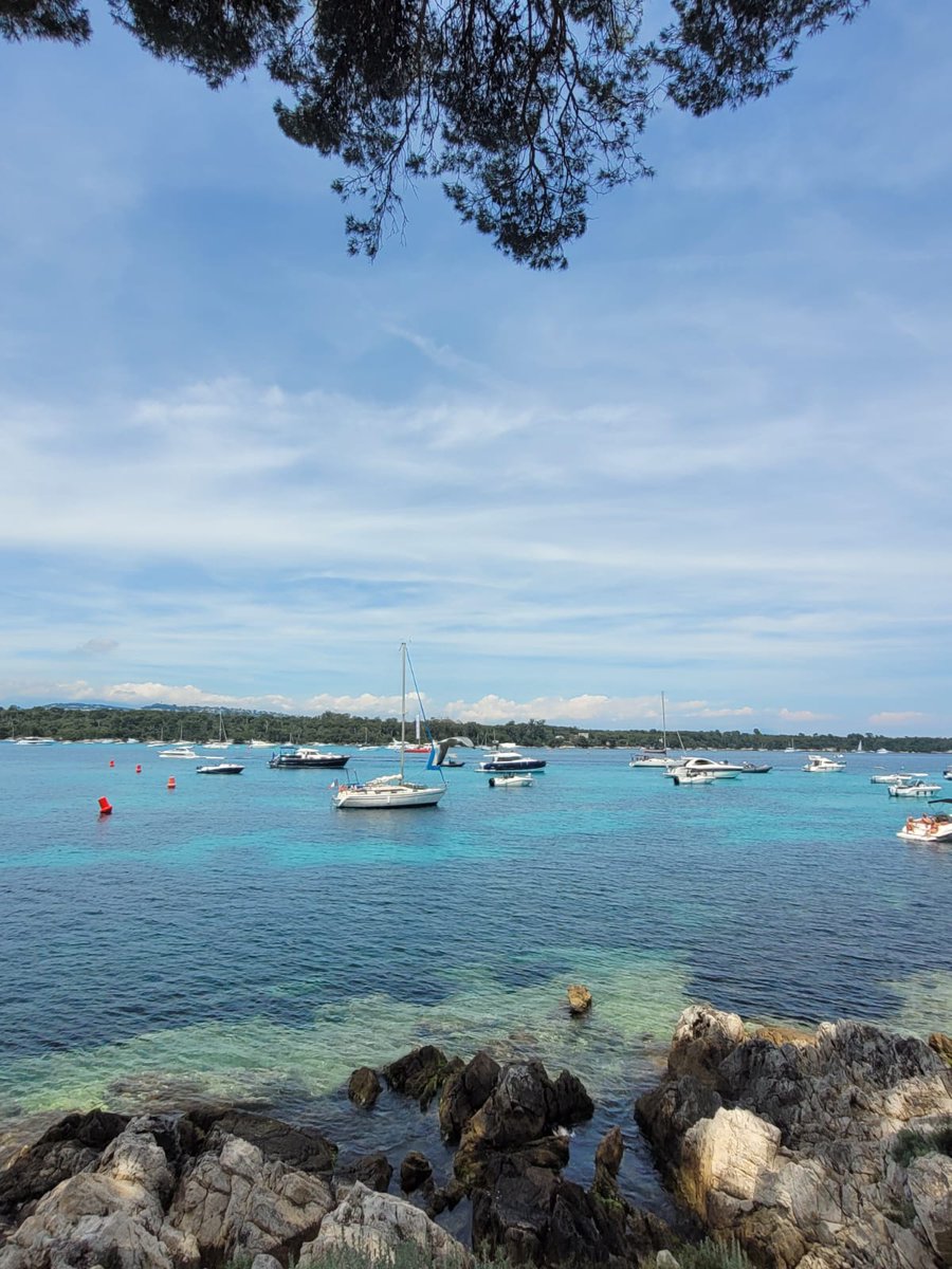 Côte d'Azur France Tourisme tweet media