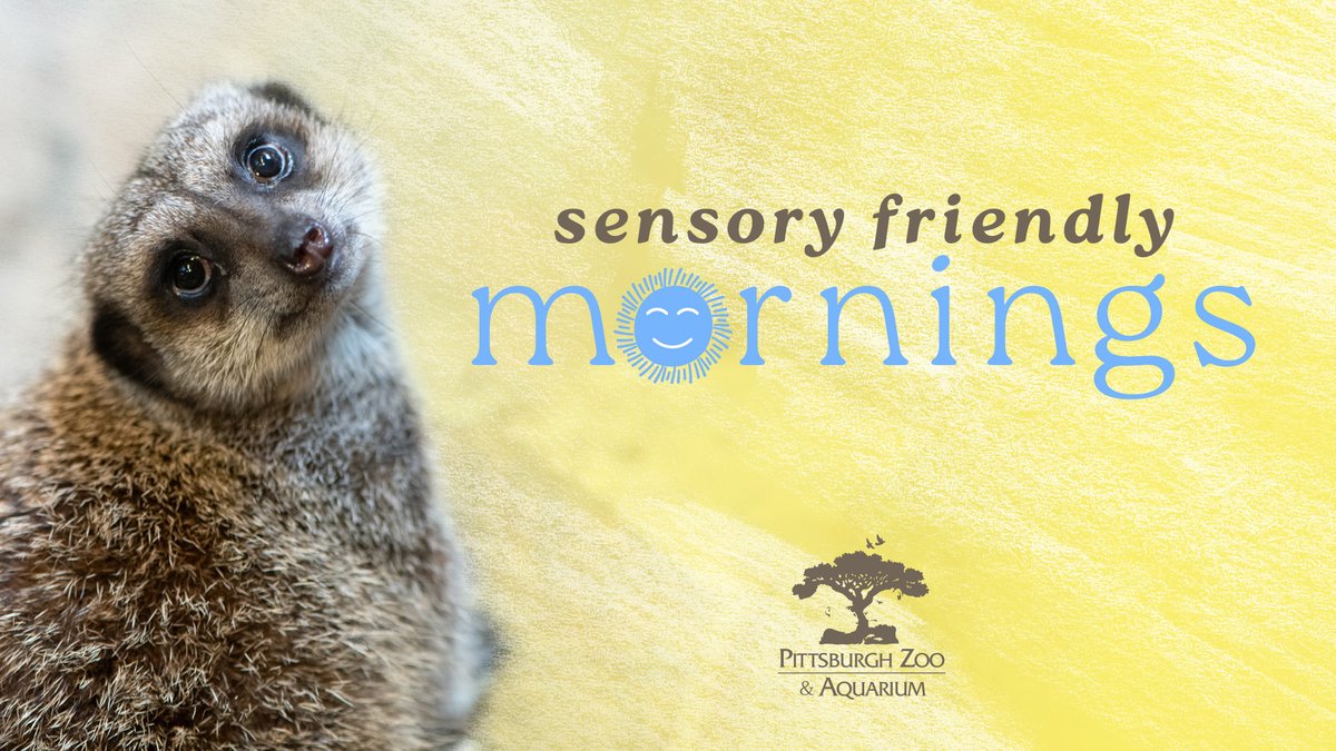 New to the Zoo! Families with members who have sensory processing needs are invited to explore the Zoo early on our new Sensory Friendly Mornings on June 12 and August 7. Enjoy a self-guided tour with smaller than usual crowds. 

Learn more ➡️ bit.ly/3WUPVbF