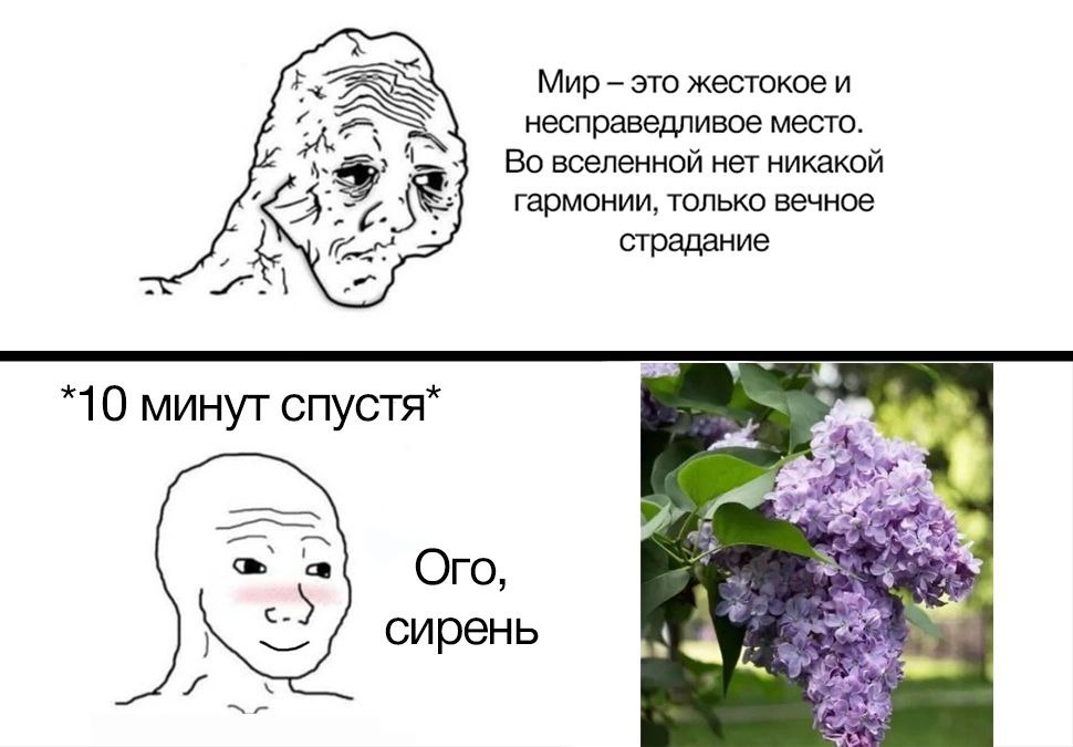 Дантес (@DantesDmitriy) on Twitter photo 2024-05-28 09:38:32