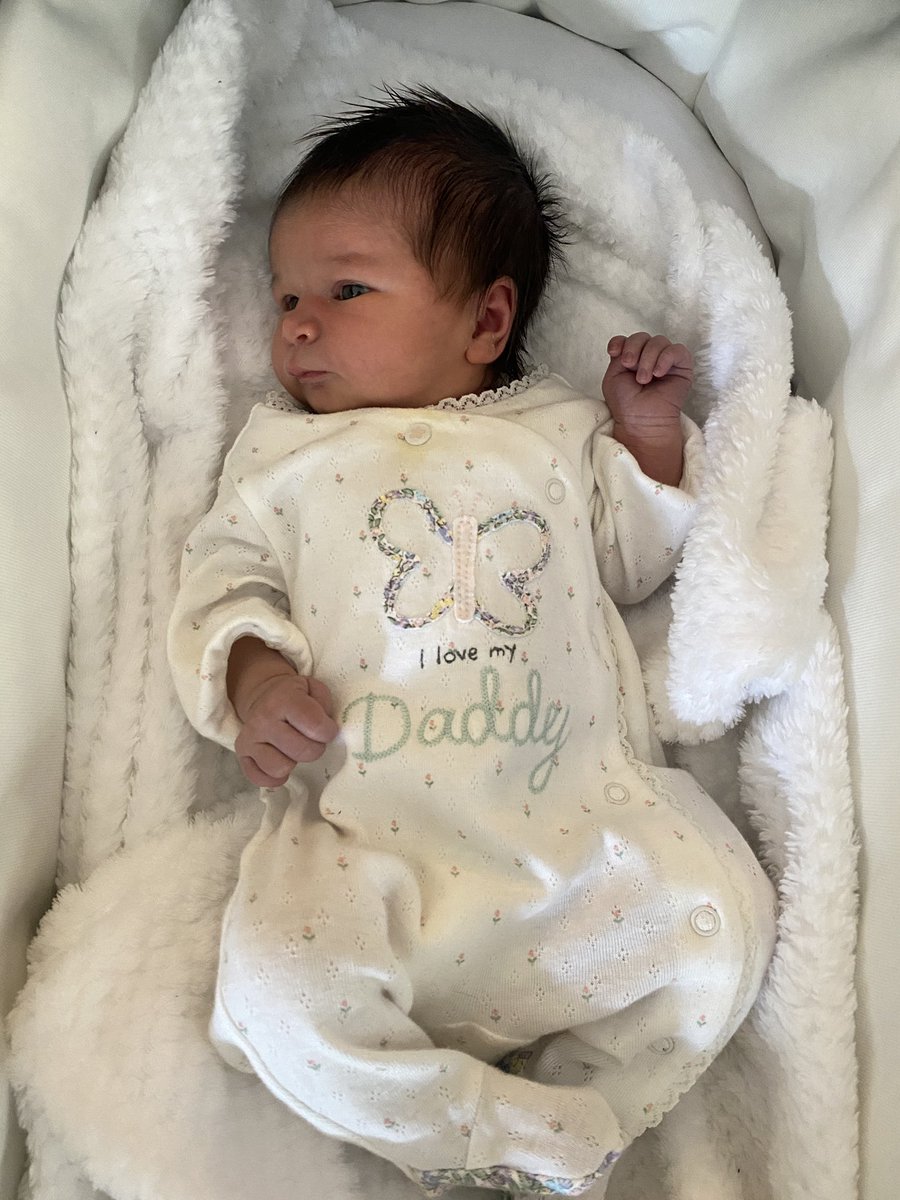 Alice Grahns tweet media