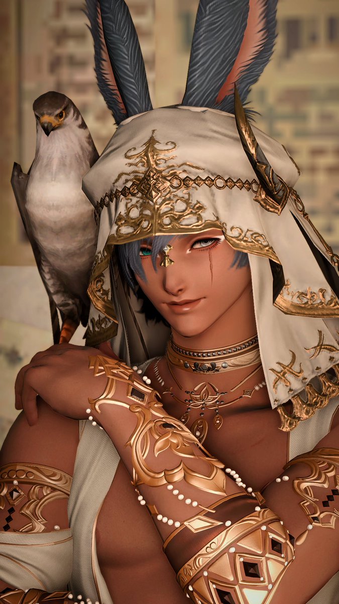 I GOT HIMBS HATS
HE LOOKS BEAUTIFUL
But it means I now actually have to think about hats when making glams
Ohno

#FF14 #Viera #maleviera