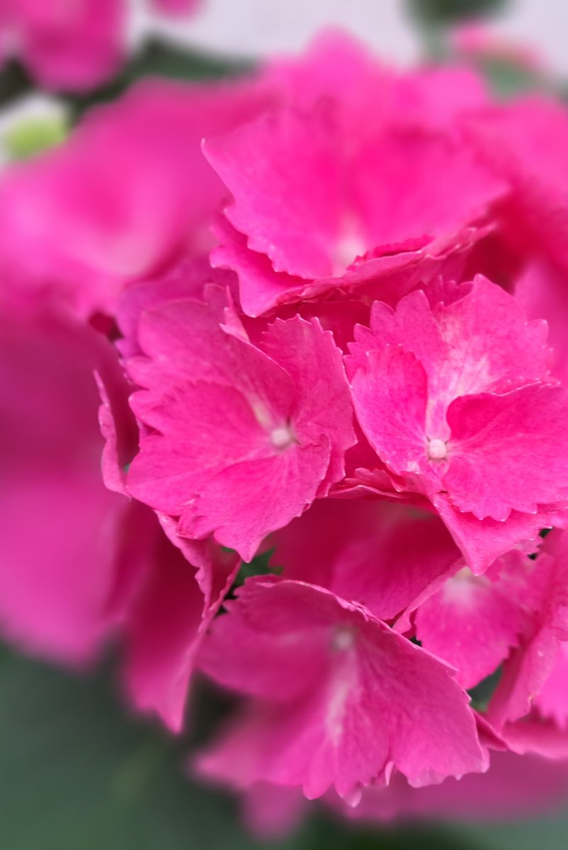 風の便り(本垢) tweet media