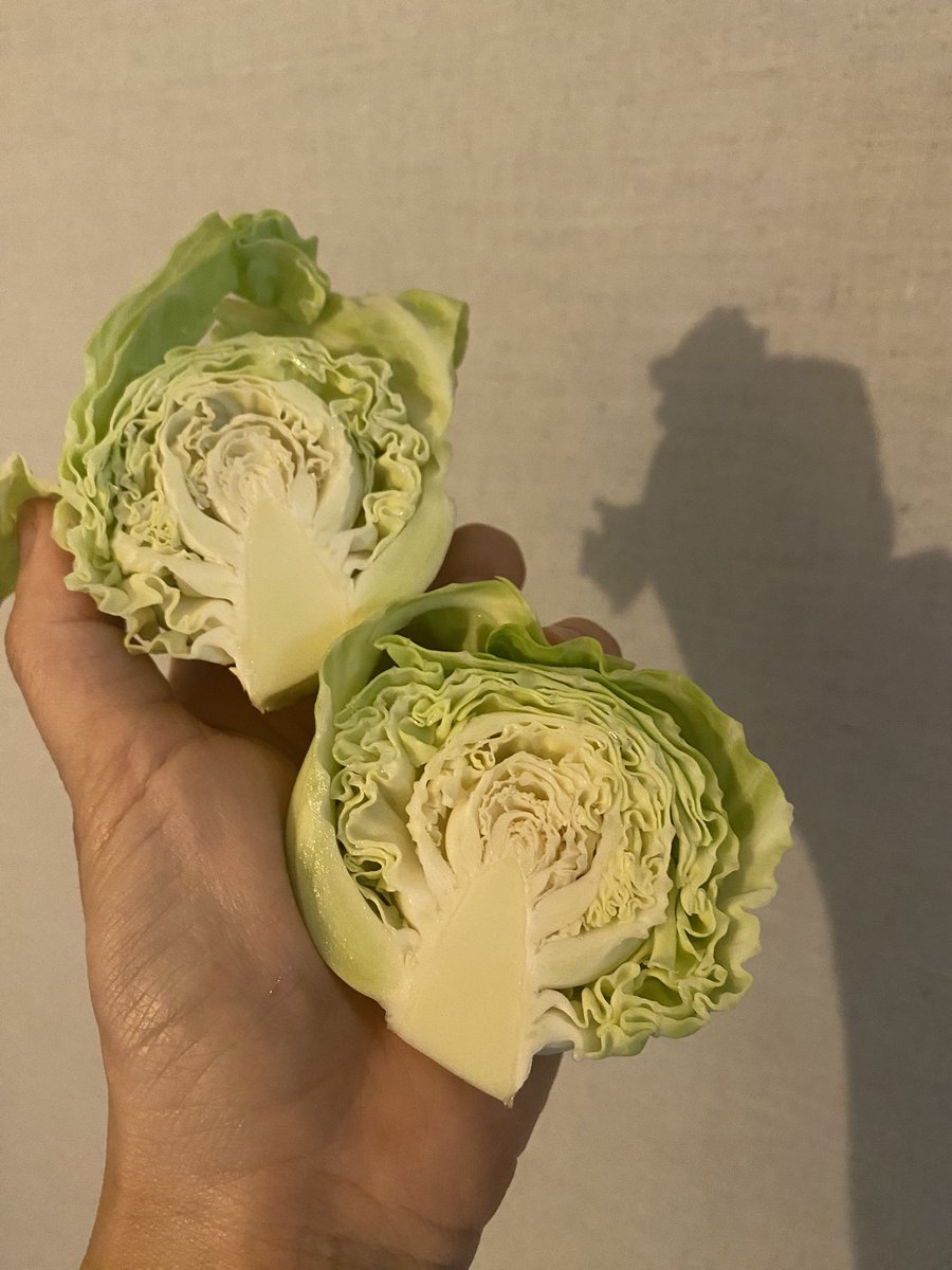 pilateshappines's tweet photo. 相方の畑でとれた国産ニンニク＆キャベツ🥬自然栽培なので、無農薬、無肥料、自然の太陽光と雨量と風で育ちました
キャベツは去年も小ぶりで、今年も手のひらサイズでかわいいね＾＾

スーパーで売られている見た目にするのは大変なんだと、けど味はスーパーよりも濃くて香りが良くて美味しい✨
#農業 https://t.co/Ms8A2d1iBe