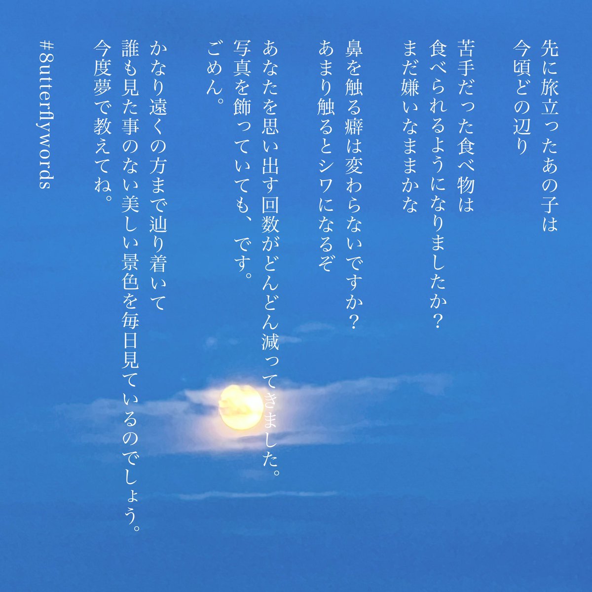 8utterflywords's tweet photo. 忘れていく、そして思い出す。

#8utterflywords https://t.co/L7Y8sGXnje
