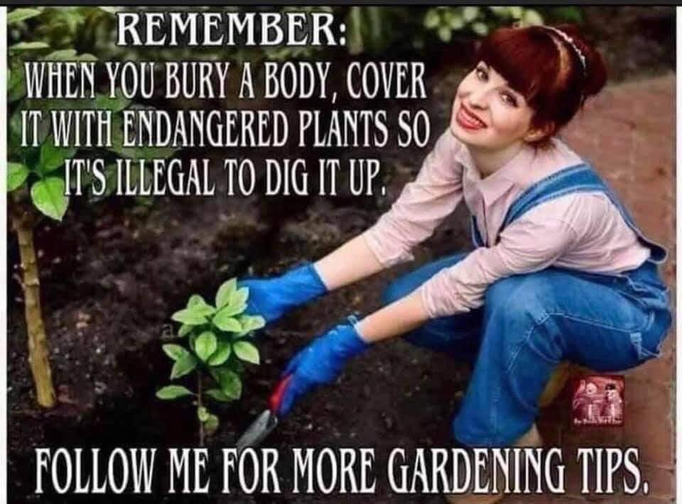 Good morning. Today is closing arguments for President T.  Let’s hope the jury was able to see tome news over weekend that will open their eyes to the corrupt government and they do the right thing.