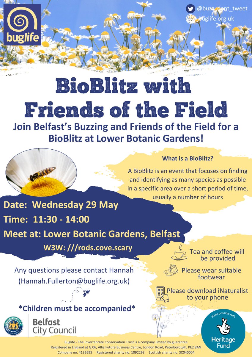 Join the #BuglifeNI #BelfastsBuzzing team & #FriendsOfTheField TOMORROW for a #BioBlitz

📅 Wednesday 29 May
🕦11:30-14:00
📌Lower Botanic Gardens, #Belfast

A great opportunity to explore your local green space & learn more about the creatures that call it home with Buglife!👇