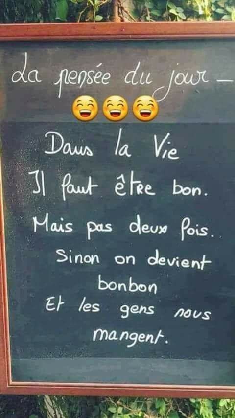 La vie peut être remplie de merveilles, mais seulement si l'on n'a pas à s'inquiéter d'être mangé en étant trop généreux.
#lifequote #citation #bonbon #sweet #pensée  #quote #life #vie #goodpeople #good