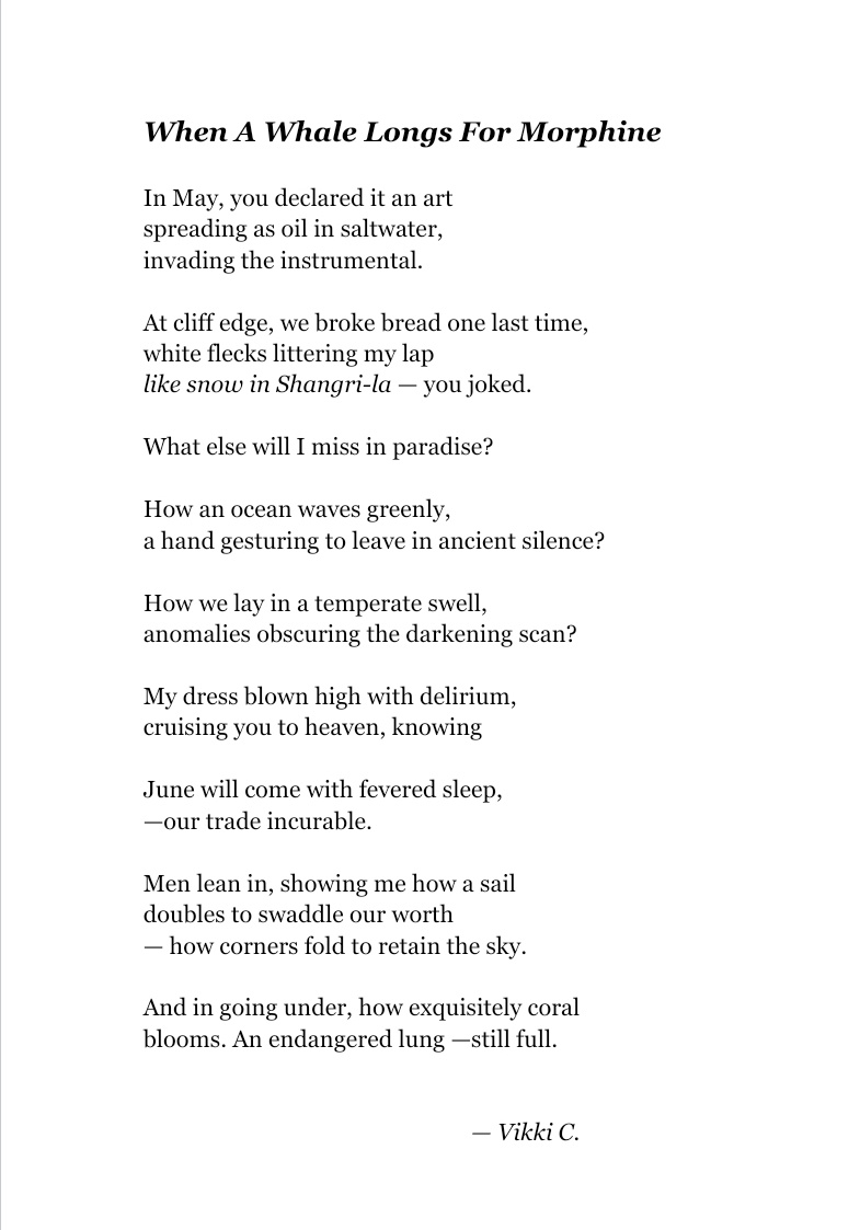 For @TopTweetTuesday & host @LouLouMach, here is my 120 word, 20 line offering on struggle, rupture of the body, interiorities & somewhere along the way – hope. 'When A Whale Longs For Morphine' Thank you and happy writing all 🖋🤍 #WritingCommunity #poetry @blackboughpoems