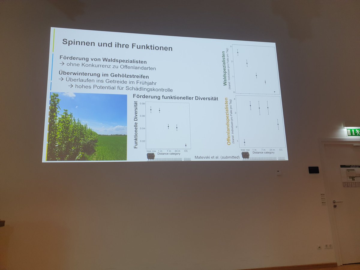 Spannend: #Agroforst|streifen fördern nicht nur #Regenwürmer, sondern auch #Spinnen (und damit #Biokontrolle) (Vortrag von Lukas Beule @JKI_Bund )