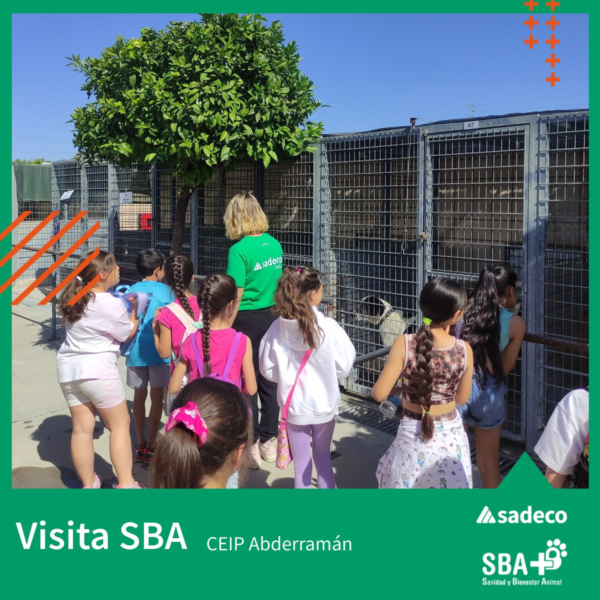 Sanidad y Bienestar Animal SADECO tweet media