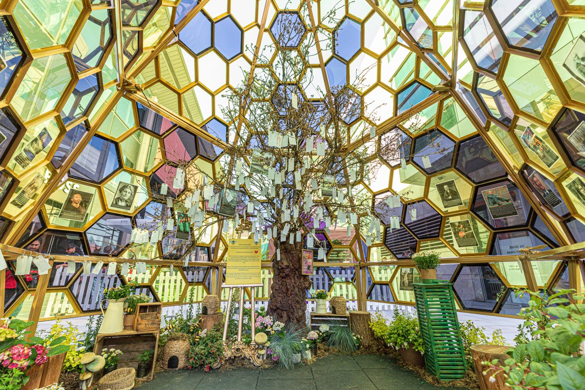 4. The Iconic Hive By CityBlooms