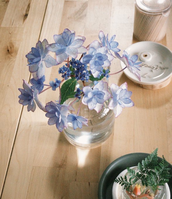 「blue flower still life」 illustration images(Latest)