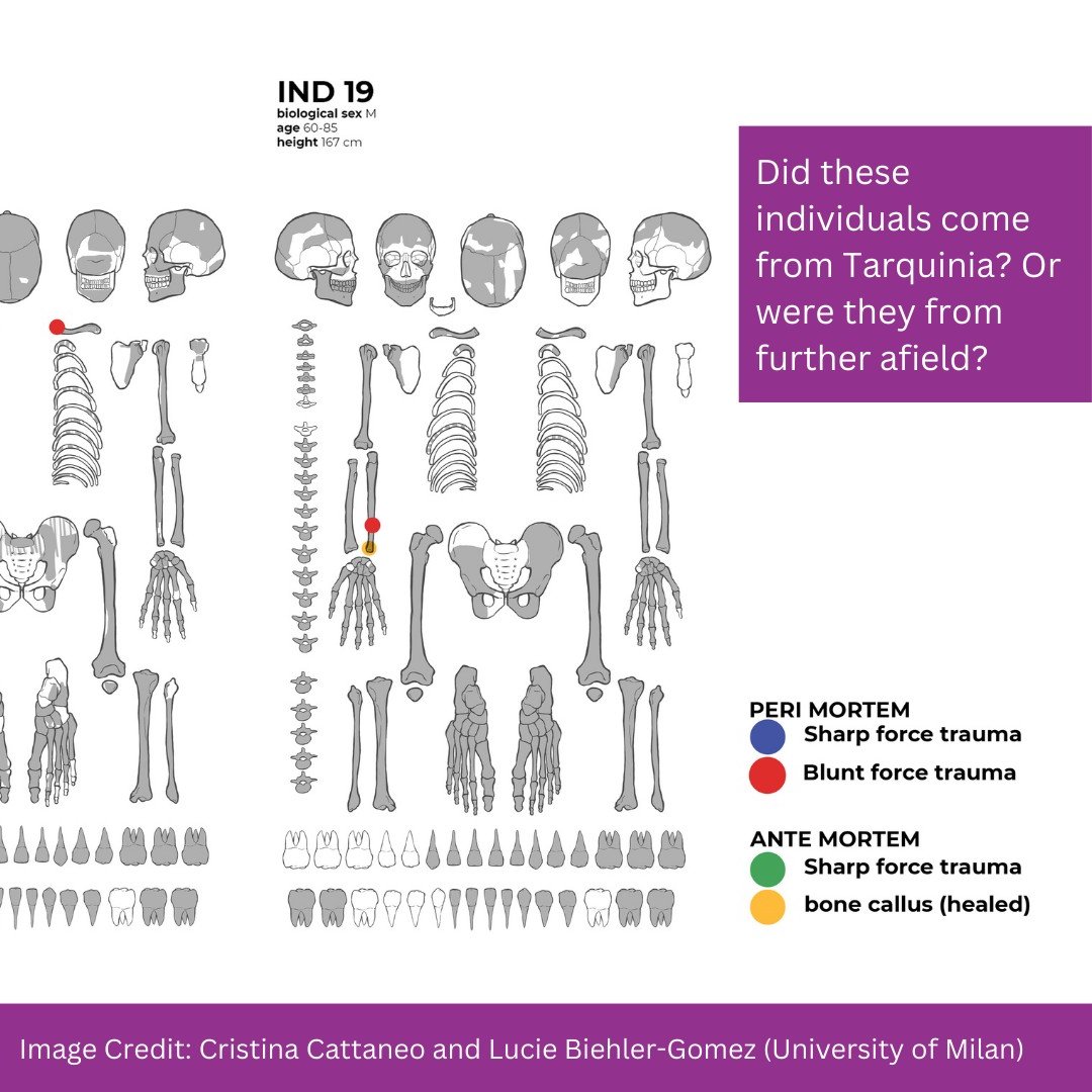 📣 PUBLISHED 📣 “Six characters in search of their agency; bioarchaeology to the aid of cultural understanding (Tarquinia, ninth – seventh century BC, central Italy)” in @SciReports by Prof Simon Stoddart and colleagues

👉 Read more about it: arch.cam.ac.uk/news/six-chara…