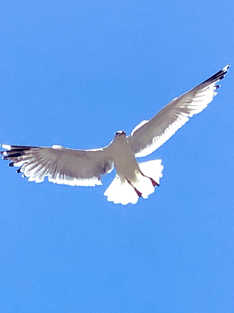 zeLaure_'s tweet photo. C rayon #Divin
O #Toi #PrésenceIAM
E nergie #Électronique
U ne #Alchimie ✨d’#Atomes
R ayonnante en #Pulsations
C osmique #Correspondance
E n #Ondulations
L’#Essence #Ciel
E cho
S ur La #NoteClé #Nirvana
T raçant Le #Dessein #Originel
E n et pour Tous Ses #Enfants 💫 https://t.co/ubWxq9MFY3