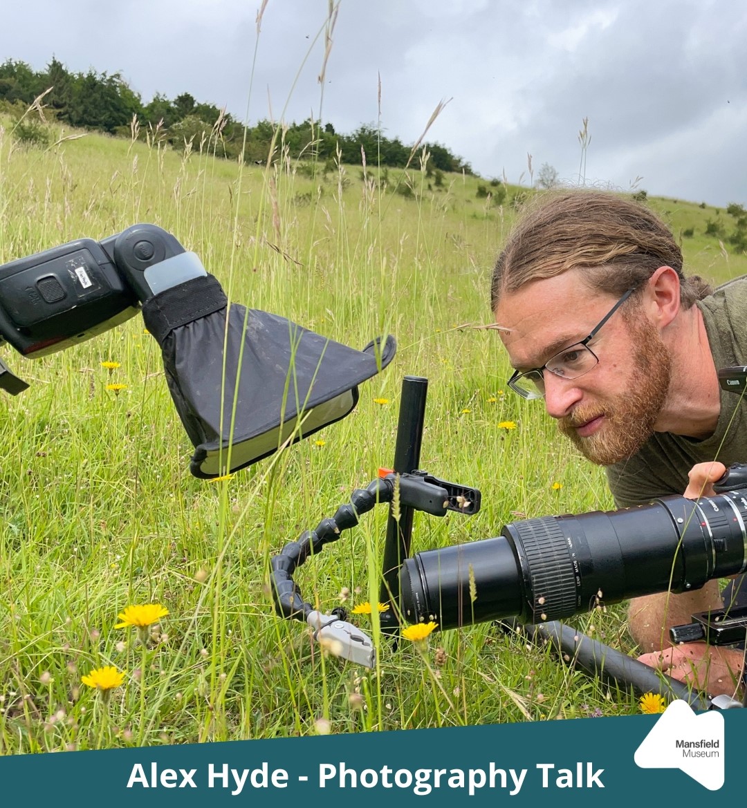 miner2major's tweet image. Don't miss a talk with @alexhydephoto at Mansfield Museum next week! 📷
Find out how Alex takes such stunning photographs of wildlife and learn more about his latest fungi series, on exhibition now at the museum 🍄
£6 | Friday 7 June | 6pm
Book here: mansfield.gov.uk/museum/events/…