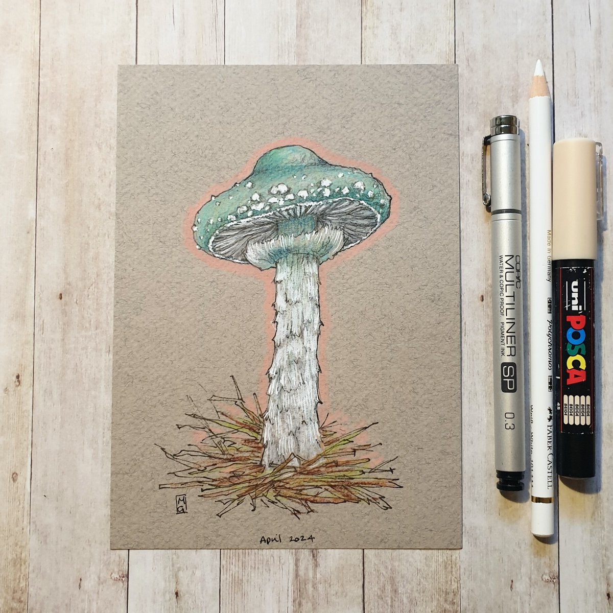 Verdigris Agaric is widespread but not particularly common in Britain. Found on lawns and in woodland areas, but particularly favours wood-chip mulches in gardens, and parks from July to October. theweeowlart.etsy.com/listing/170724… #OriginalArt #drawing #Mushrooms #MushroomDrawing