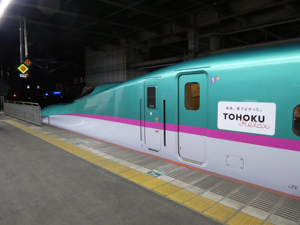 TOHOKU Relaxラッピング車両。 2024.5 #新幹線 #E5系 #大宮