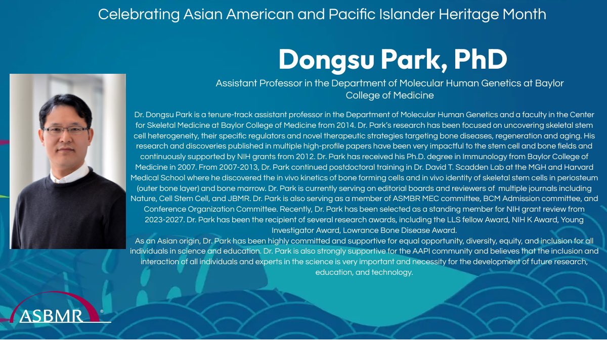 HolguinLab's tweet photo. In celebration of #AAPIHeritageMonth, the @ASBMR is highlighting Dr. Dongsu Park for his significant contributions to skeletal research and service to the bone community. Dr. Park’s NIH-funded research is on uncovering skeletal stem cell heterogeneity. #AAPI https://t.co/ZfwwOkgpl7