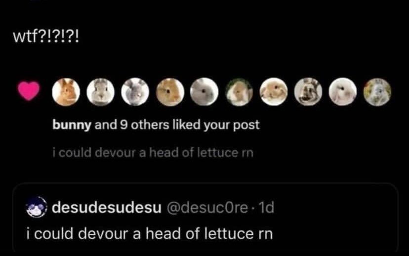 🕐HOURLY🕑 shitpost tweet media