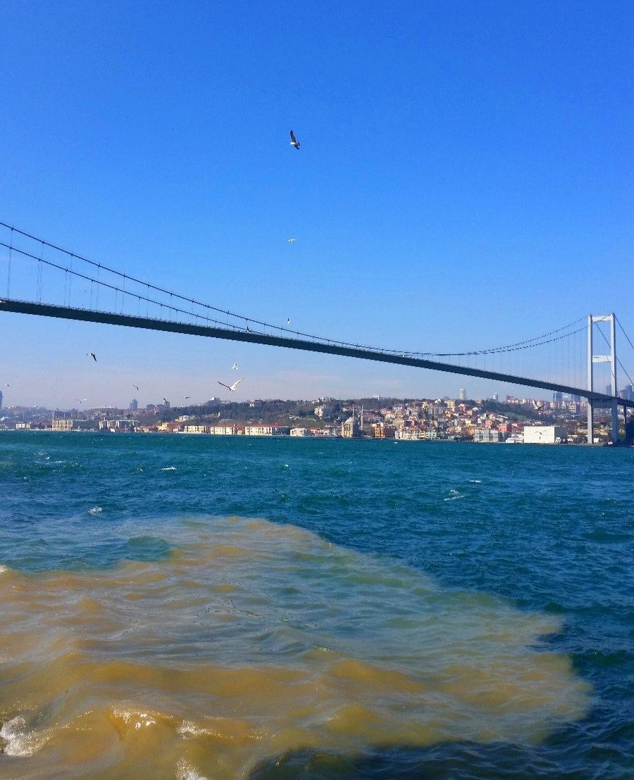 "Çocukları ürkütülmüş bir dünyanın denizi mavi olsa ne yazar, olmasa ne..."