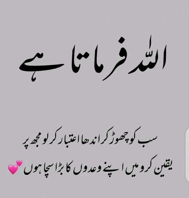 Beshak😍
Assalam o alikum❤️
Kesa guzar rha hai aj ka din 🥰💫