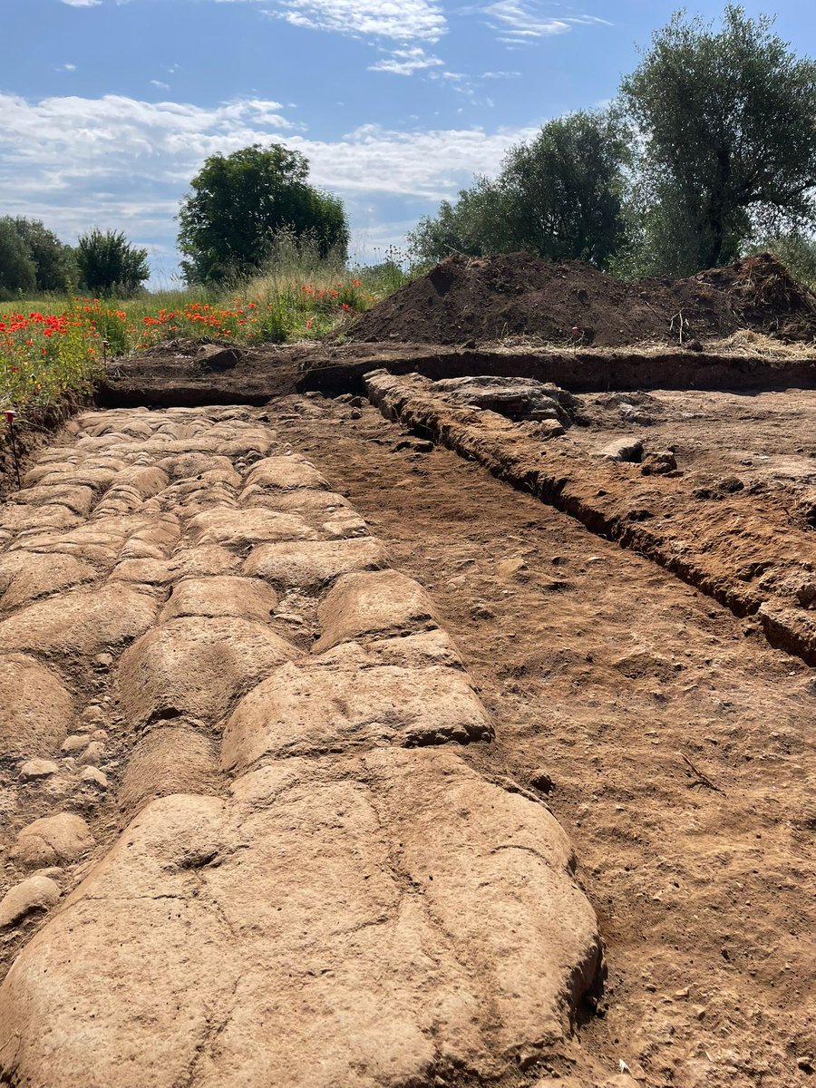 A newly excavated stretch of road at Falerii Novi 👏☀️ @stephenjohnkay @dr_bone_lady @emlynkd @FaleriiNovi @SASNews @LondonU