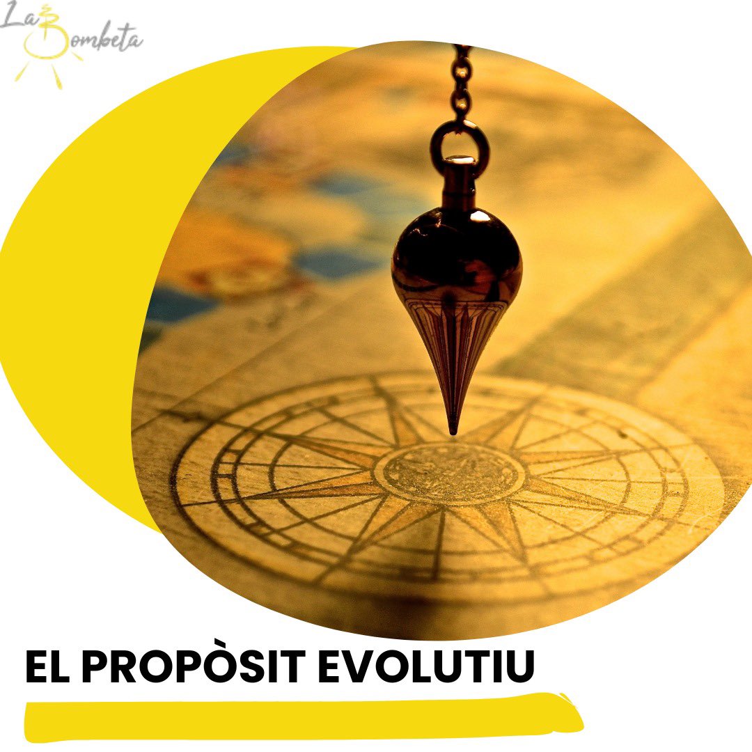 Quan parlem de propòsit evolutiu d'una organització,parlem d'una orientació a llarg termini, que guia la seva existència i desenvolupament més enllà dels objectius financers. Es tracta de connectar amb la missió profunda que inspira i motiva. Com et connectes amb el teu propòsit?