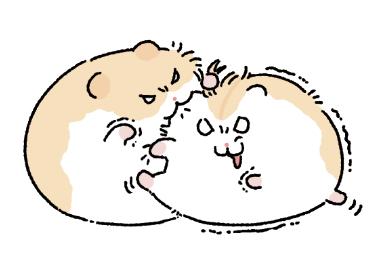 pokuenn's tweet photo. 자매싸움 https://t.co/uf6K6wl22D