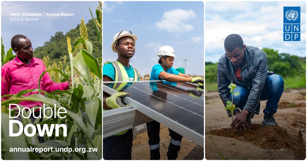 Powering a green future & healthy communities: 🌳270,000 trees planted. ☀️ 19 more health facilities using solar! 🌽 540,000+ farming sustainably. Read how UNDP Zimbabwe is #DoublingDown on key #SDGs in our 2023 report: 🟢bit.ly/DoubleDownRepo… #ClimateAction #Zimbabwe