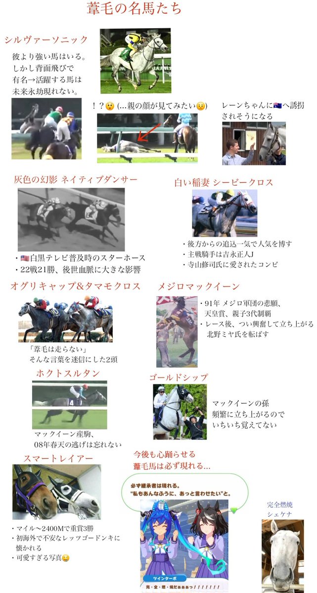 なぜ葦毛馬に惹かれるのか🤔
・目立つ
・表情豊かに見える
・徐々に白くなる哀愁
・草食動物なのに目立ってしまう、うっかり遺伝子

シルヴァーソニック引退
お疲れ様でした。乗馬の仕事は背面飛びしちゃいけないからね🥺