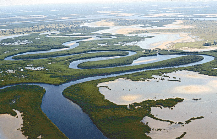 Le Sine Saloum
Situé au nord de la Gambie at au sud de la petite côte au Sénégal, le Sine Saloum est une région naturelle où se trouve la parc national du delta du Saloum.
l'une des plus belles régions du Sénégal. Marigots, forêts, mangroves, lagunes, forment une variété riche