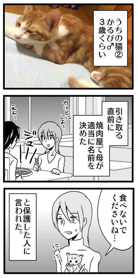 焼肉屋で名前を決めたのでかるびです 