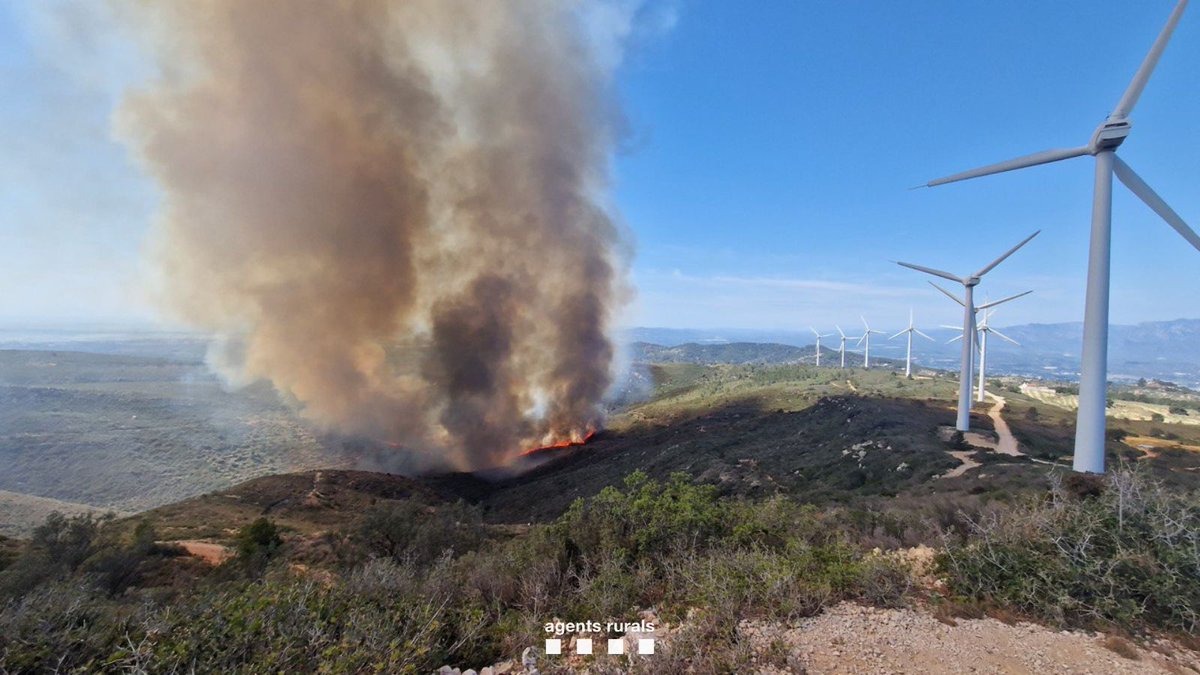 ℹ️🔥 L'#IFTortosa (Baix Ebre) afecta una superfície aproximada d'unes 15 hectàrees, segons dades provisionals d'#AgentsRurals.