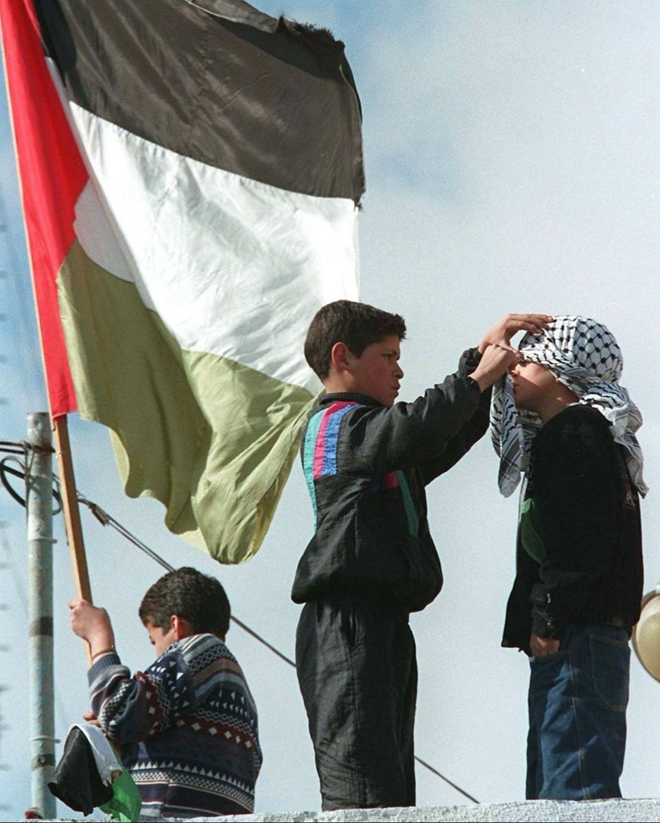 opm babi 🇹🇳🇵🇸 tweet media