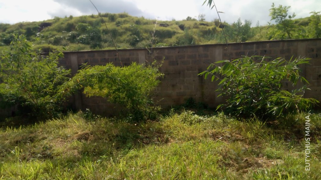 Here's how teachers and students at the Dandora Secondary School in Nairobi are using bamboo to tackle the problem of toxic fumes from a giant landfill site 🎧 bbc.in/3yJclCC