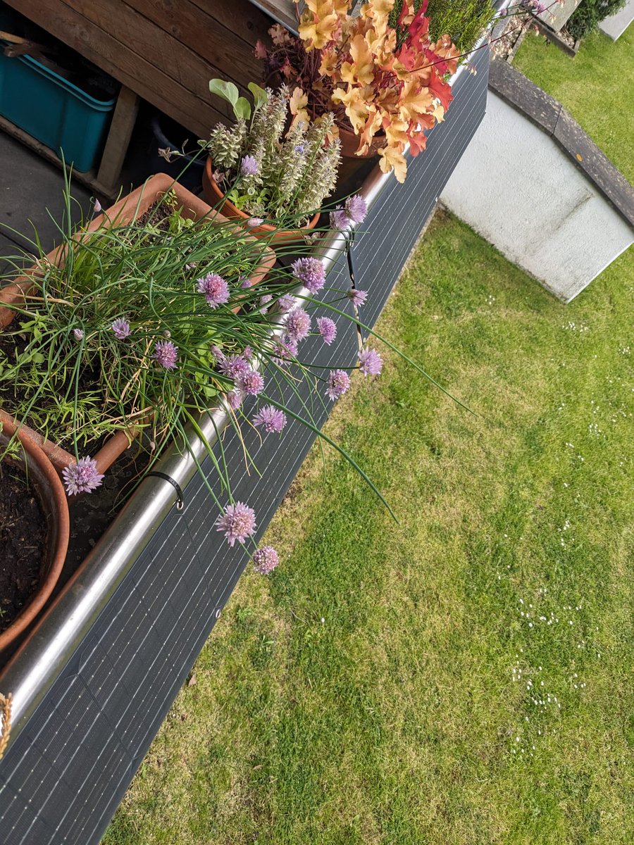 Christian Richter | Fensterkraftwerk GmbH tweet media